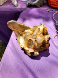 Natural raw Smokey Citrine specimen