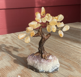 Natural polished crystal Money Tree