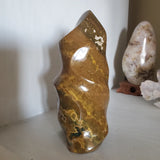 Natural polished Ocean Jasper flame