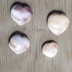 Natural polished Shiva shell heart palm stones- Large