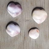 Natural polished Shiva shell heart palm stones- Large